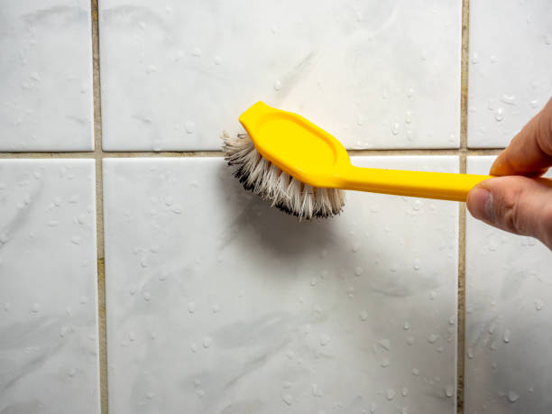 Best Mold Testing  in Bartlesville, OK