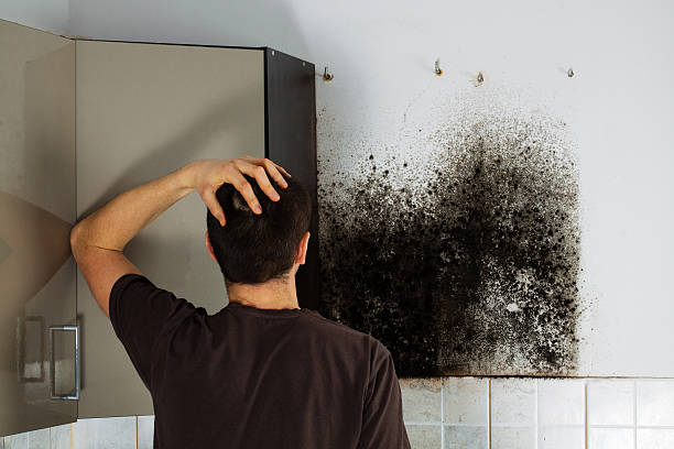 Mold Testing and Removal in Bartlesville, OK